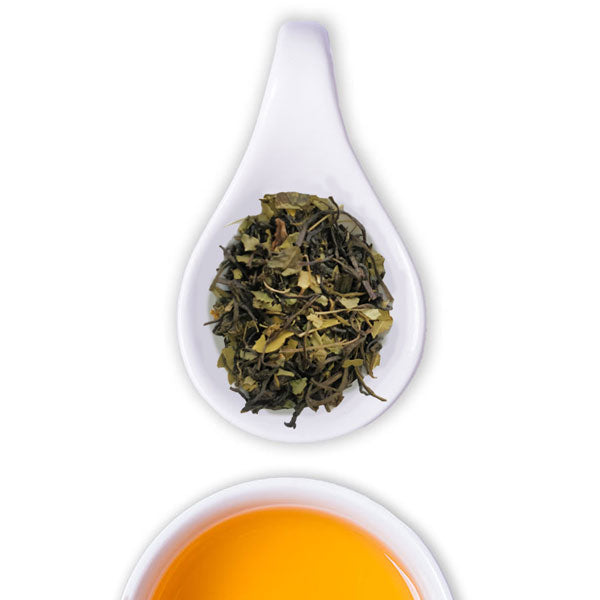 Superfood Moringa Green Tea - The Tea Shelf