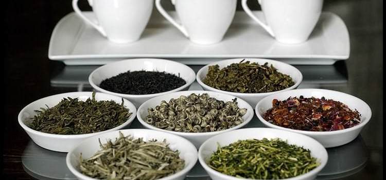 TEA FESTIVALS AROUND THE WORLD