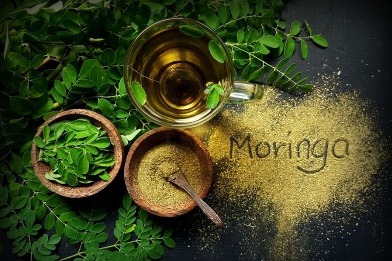 Moringa leaves: - The miracle tea