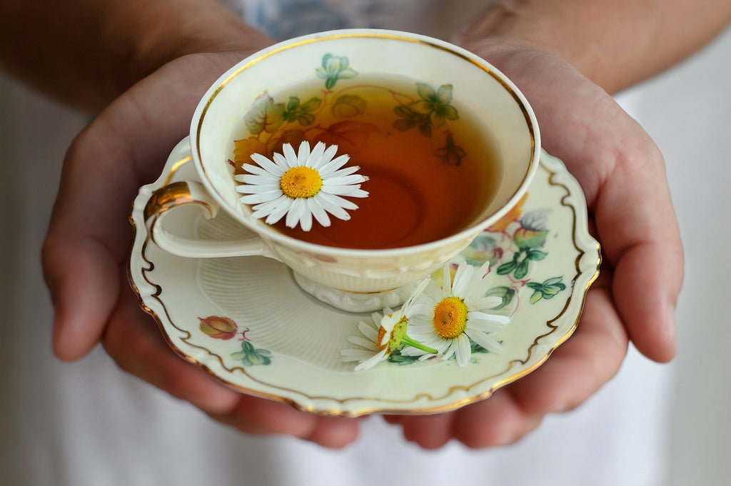 Chamomile: A Lovely Steeping Herb