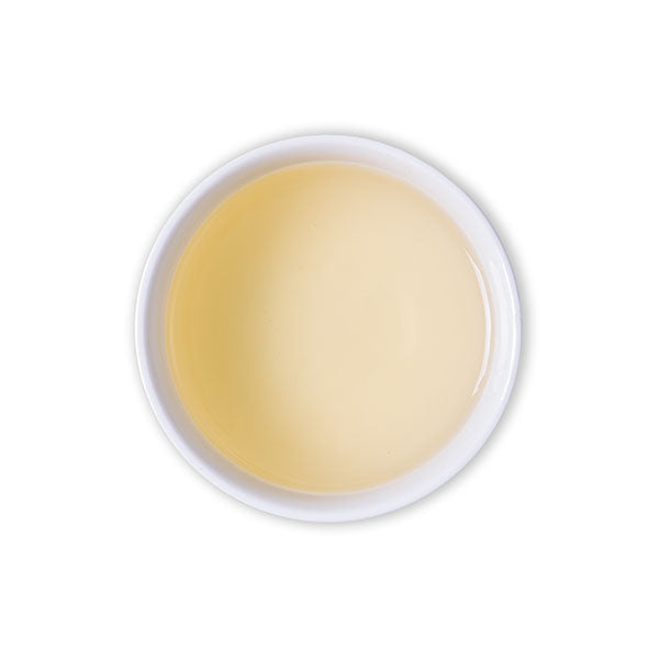 Winter Forest Green Tea - The Tea Shelf