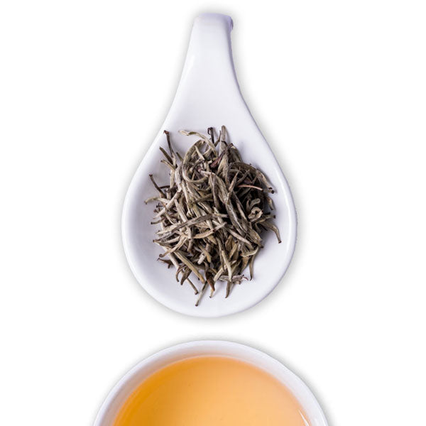Silver Needles Tea Silver Needles White Tea – The Tea Shelf